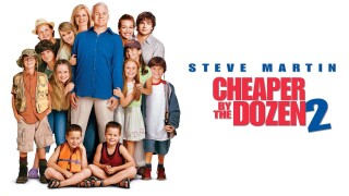 Cheaper by the Dozen 2