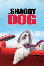 The Shaggy Dog