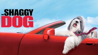 The Shaggy Dog