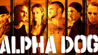 Alpha Dog