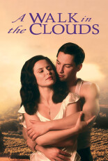 A Walk in the Clouds