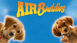Air Buddies