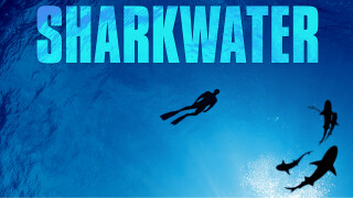 Sharkwater