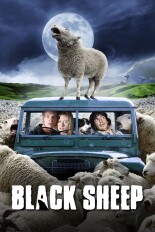 Black Sheep