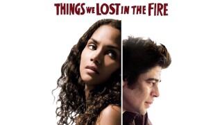 Things We Lost in the Fire