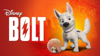 Bolt