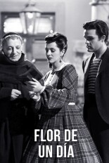 Flor de un día