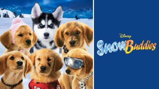 Snow Buddies
