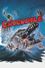 Crocodile