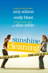 Sunshine Cleaning