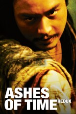 Ashes of Time Redux