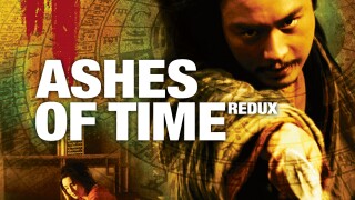Ashes of Time Redux
