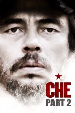 Che: Part Two