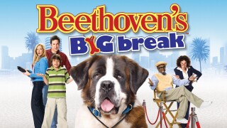 Beethoven's Big Break