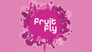 Fruit Fly