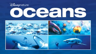 Oceans