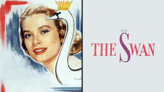 The Swan