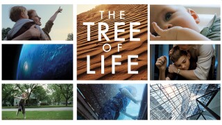 The Tree of Life