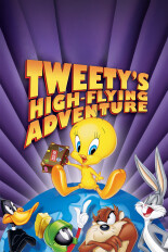 Tweety's High-Flying Adventure