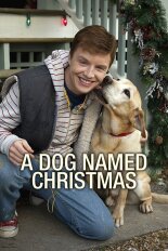 A Dog Named Christmas