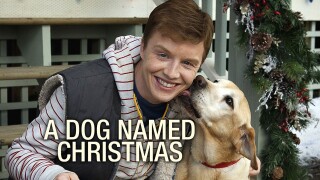 A Dog Named Christmas