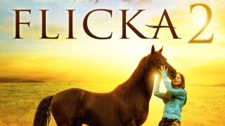 Flicka 2