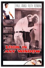 Look in Any Window