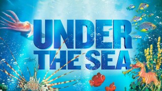 Under the Sea -- The IMAX 2D Experience