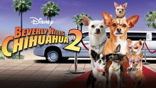 Beverly Hills Chihuahua 2