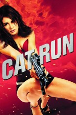 Cat Run