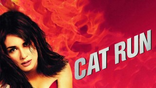 Cat Run