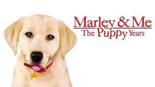 Marley & Me: The Puppy Years