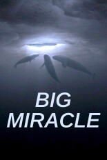 Big Miracle