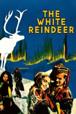 The White Reindeer