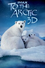 To the Arctic