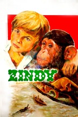 Zindy, el fugitivo de los pantanos