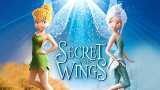 Secret of the Wings