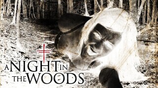 A Night in the Woods