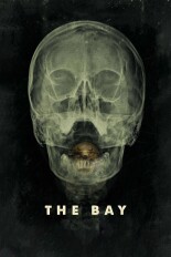 The Bay