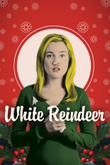 White Reindeer