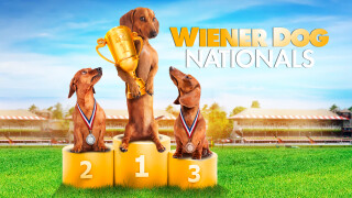 Wiener Dog Nationals