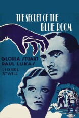 Secret of the Blue Room