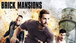 Brick Mansions