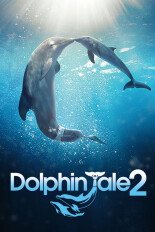 Dolphin Tale 2