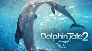 Dolphin Tale 2