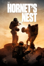 The Hornet's Nest