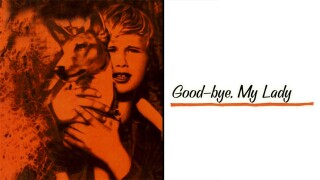 Good-bye, My Lady