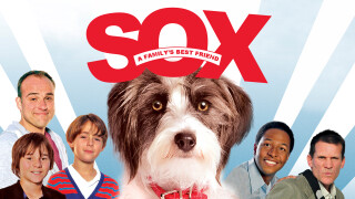Sox: A Family's Best Friend