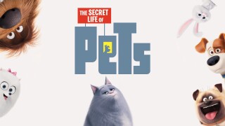 The Secret Life of Pets