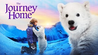 The Journey Home